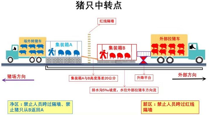 有幸躲過(guò)非瘟 (2).jpg