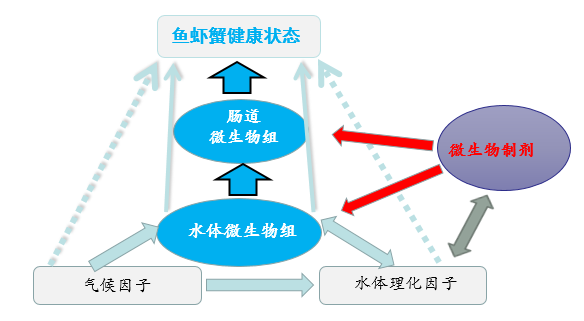 什么產(chǎn)品這么牛 (5).png